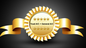 2 sets of accounts, i.e. Trust & General